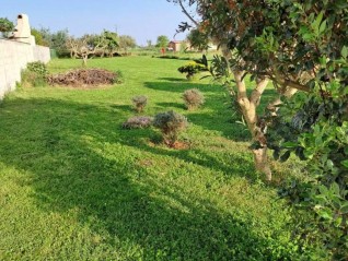 VENDITA DI TERRENO EDILIZIO – LOBORIKA, MARČANA (28752)