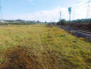 Продаж – господарські землі I2, Пула | 10.010 м² (26985)