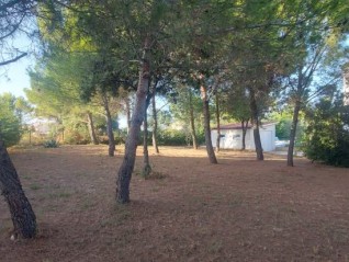 GRAĐEVINSKO ZEMLJIŠTE 420 m², LIŽNJAN (30032)