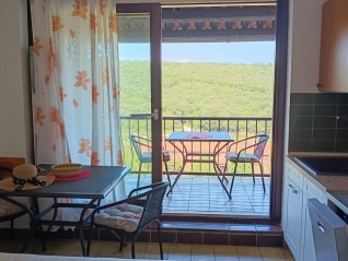 NAMJEŠTEN STAN S BALKONOM BLIZU MORA – PAVIĆINI, DUGA UVALA (29954)