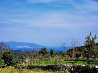 Prodaje se atraktivno zemljište s pogledom na more i projektom, Kavran (29669)