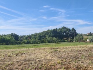 Byggmark 2.920 m² i närheten av Višnjan (29993)