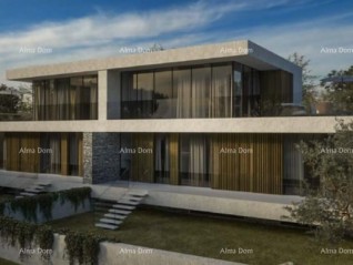 Ev Umag (24273)
